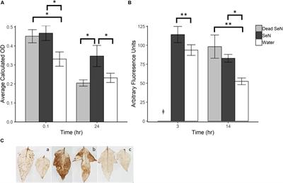 Salmonella enterica Elicits and Is Restricted by Nitric Oxide and Reactive Oxygen Species on Tomato